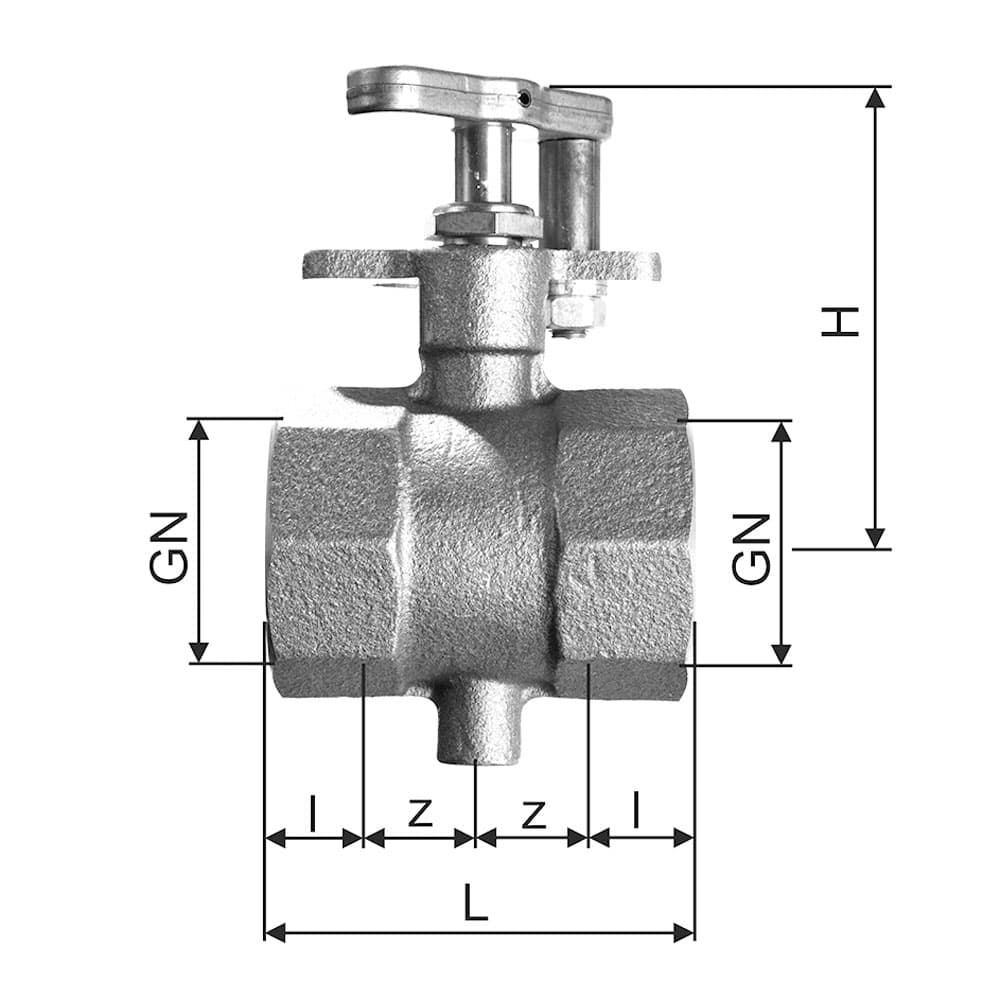 Drosselklappe GLATTAL
